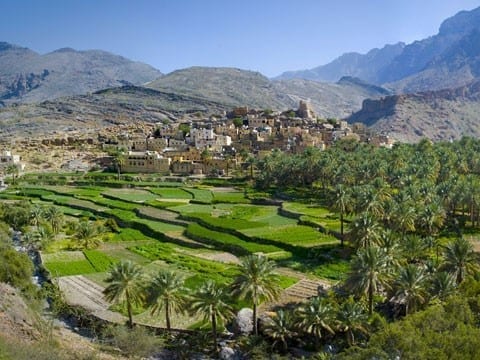 Découverte du Sultanat d’Oman <span>du 1 au 12 déc. 2019</span>
