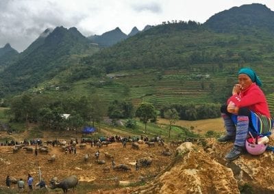 bac ha vietnam