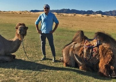 chameaux de mongolie desert de gobi