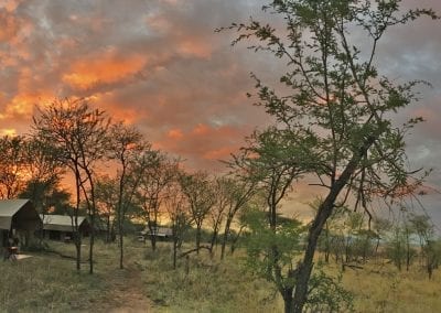 kati kati tented camp serengeti tanzanie