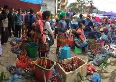 marche bac ha vietnam