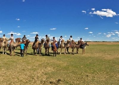 trek chameaux desert de gobi mongolie