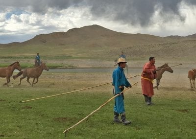 cavaliers mongols steppe mongolie