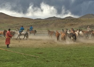 mongolie cavaliers steppe
