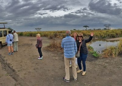 tanzanie safari serengeti