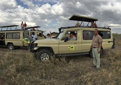 safari en tanzanie