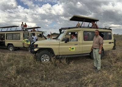 safari en tanzanie