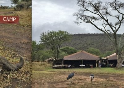 kati kati safari camp serengeti tanzania