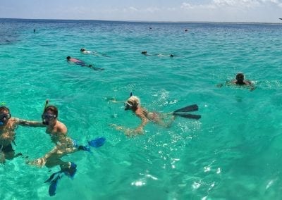 snorkelling indian ocean zanzibar