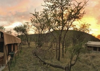 kati kati safari camp serengeti tanzanie