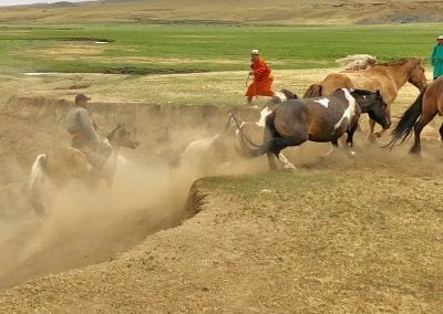 cavaliers mongols mongolie