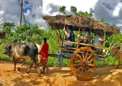 clubilis au sri lanka