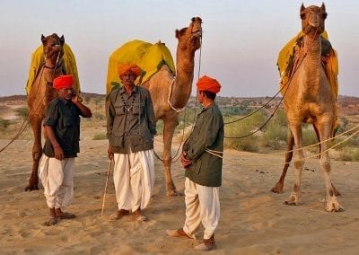 dromadaires desert rajasthan