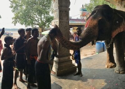 elephant blessing