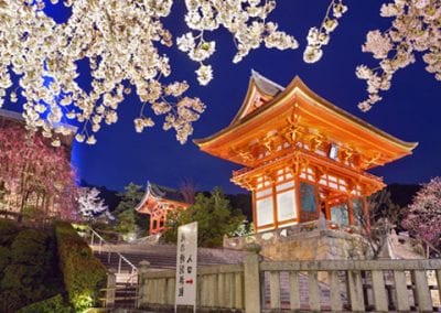 Tour du Japon en fleurs du 24 mars au 8 avril 2024
