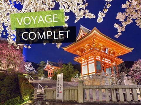 Japon en fleurs <span>du 28 mars au 11 avril 2020