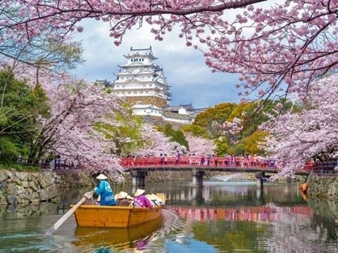 Japon en fleurs <span>du 28 mars au 11 avril 2020</span>