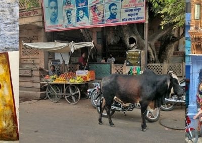 jodhpur india