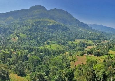 montagnes du sri-lanka