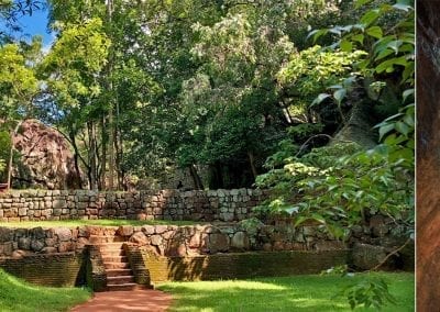 nature sri lanka sigiriya