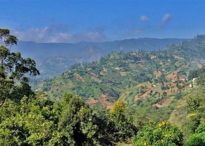 nuwara eliya sri lanka