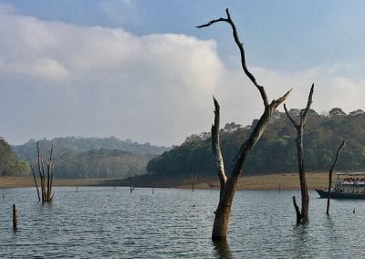 periyar national park
