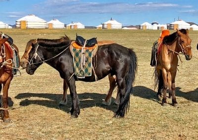 camp yourtes ursa major mongolie