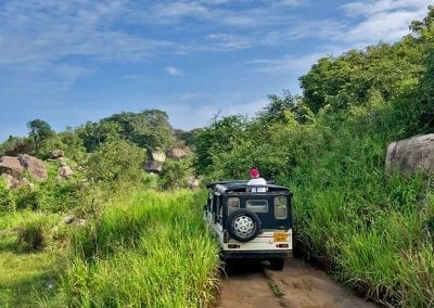 sri lanka eco park safari