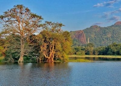 sri lanka nature