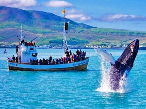 Grand tour d’Islande <span>du 1 au 9 sept. 2019</span>