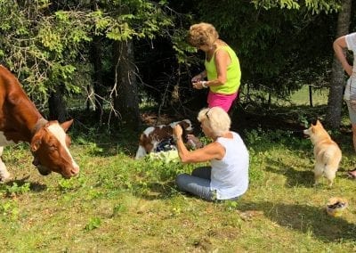 randonnee gruyere suisse