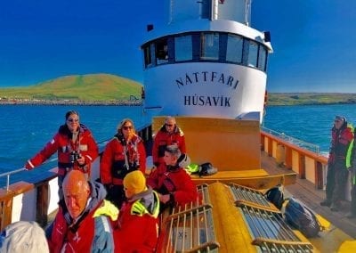 husavik whale watching