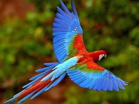 Parc aux Oiseaux & Pérouges <span>vendredi 17 juin 2022</span>