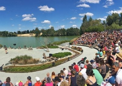 spectacle parc aux oiseaux