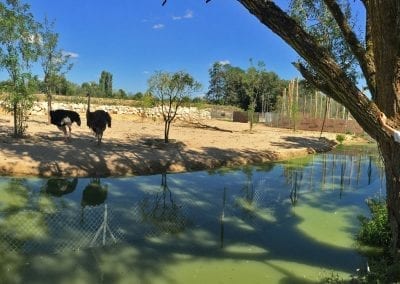 visite parc aux oiseaux dombes