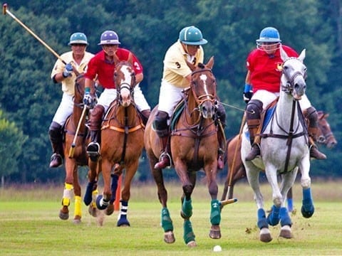 Journée Polo <span>dimanche 2 sept. 2018</span>