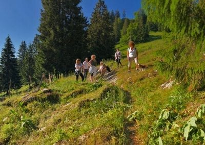 randonnee montagne en gruyere dent de lys