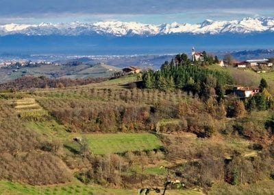 vignoble du piemont en italia