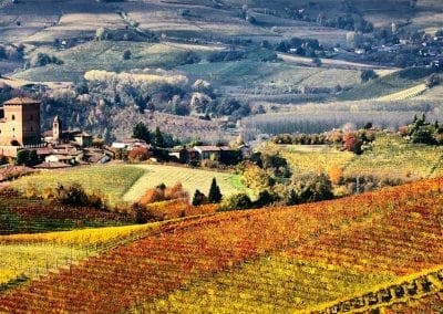 vignoble piemont barolo italia