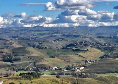 vignoble piemont italie