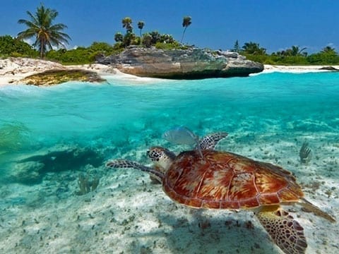 Zanzibar <span>du 7 au 18 sept. 2018</span>