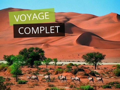 Découverte de la Namibie sauvage <span>du 18 avril au 4 mai 2020</>