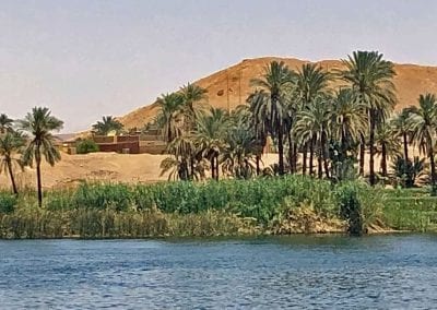 rives du nil en egypte