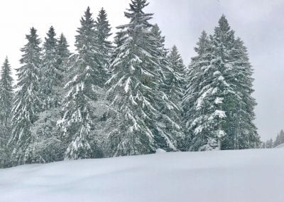 rando raquettes jura neige