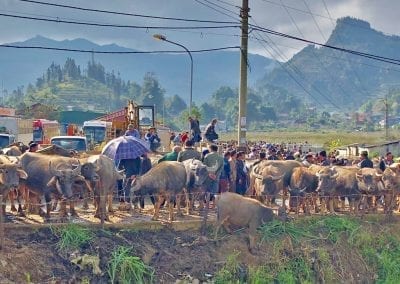 lao cai market nord vietnam