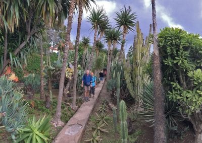 jardin botanique madere