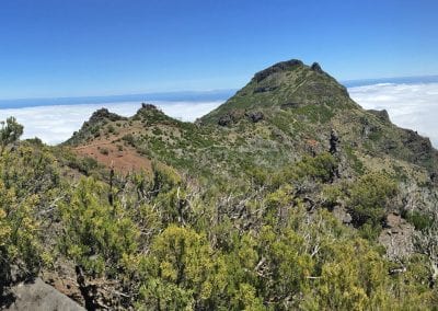 pico ruivo rando