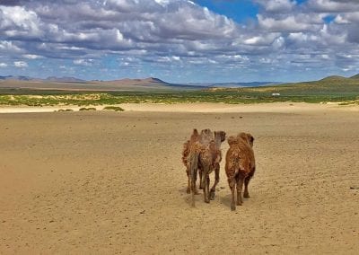 deserts de mongolie