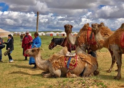 gobi mongolia