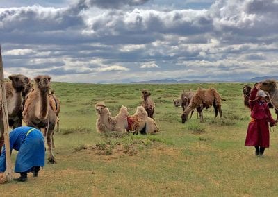 gobi mongolie